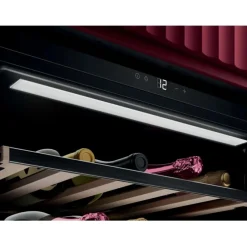 AEG CW6000T Wijnklimaatkast inbouw