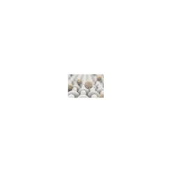 AX91-404 Breathe360 pollenbeschermingsfilter
