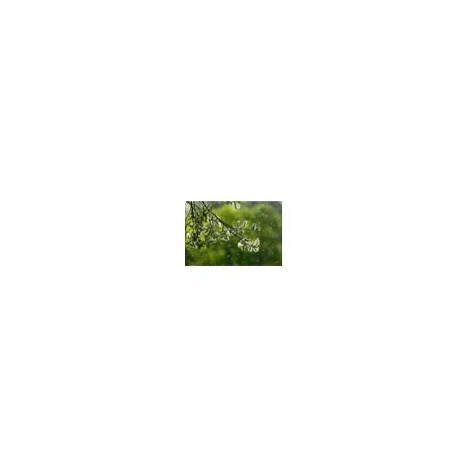 AX91-404 Breathe360 pollenbeschermingsfilter
